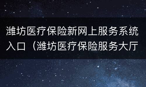 潍坊医疗保险新网上服务系统入口（潍坊医疗保险服务大厅）