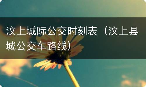 汶上城际公交时刻表（汶上县城公交车路线）
