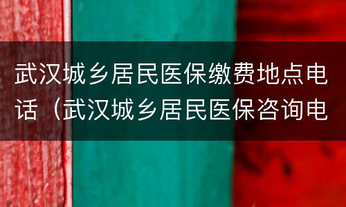 武汉城乡居民医保缴费地点电话（武汉城乡居民医保咨询电话）