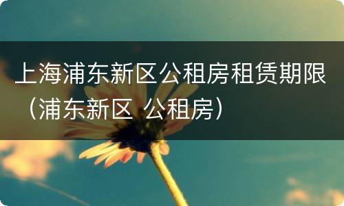 上海浦东新区公租房租赁期限（浦东新区 公租房）