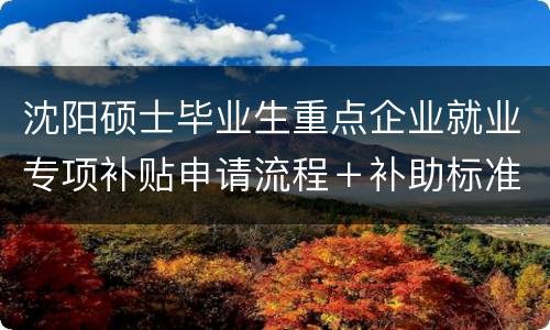 沈阳硕士毕业生重点企业就业专项补贴申请流程＋补助标准