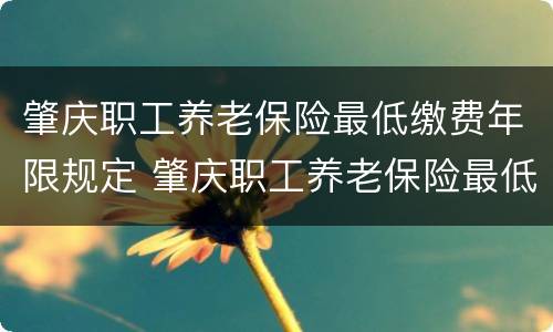 肇庆职工养老保险最低缴费年限规定 肇庆职工养老保险最低缴费年限规定是多少年