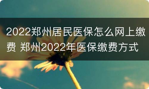 2022郑州居民医保怎么网上缴费 郑州2022年医保缴费方式