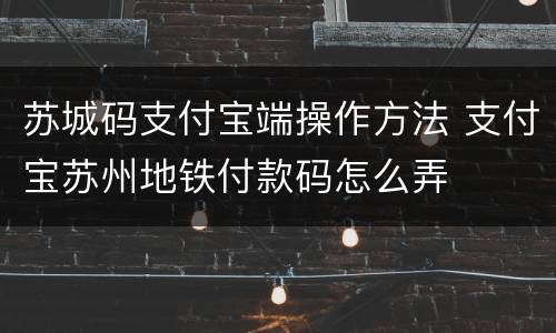 苏城码支付宝端操作方法 支付宝苏州地铁付款码怎么弄