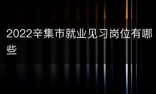 2022辛集市就业见习岗位有哪些