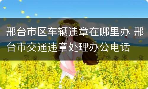 邢台市区车辆违章在哪里办 邢台市交通违章处理办公电话