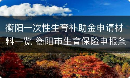 衡阳一次性生育补助金申请材料一览 衡阳市生育保险申报条件