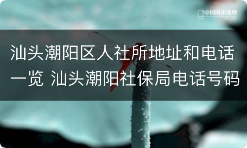 汕头潮阳区人社所地址和电话一览 汕头潮阳社保局电话号码