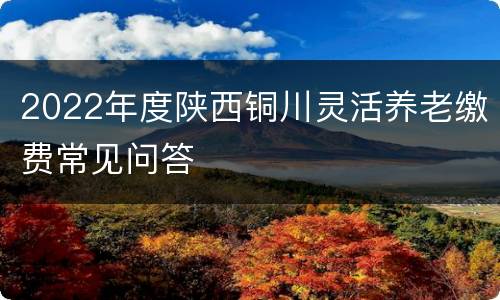 2022年度陕西铜川灵活养老缴费常见问答
