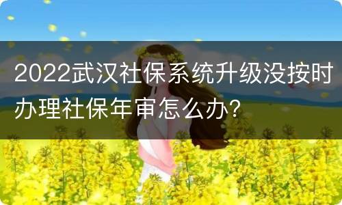 2022武汉社保系统升级没按时办理社保年审怎么办？
