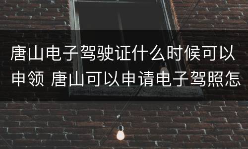 唐山电子驾驶证什么时候可以申领 唐山可以申请电子驾照怎么弄