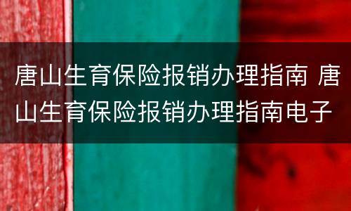 唐山生育保险报销办理指南 唐山生育保险报销办理指南电子版