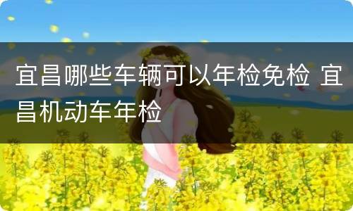 宜昌哪些车辆可以年检免检 宜昌机动车年检
