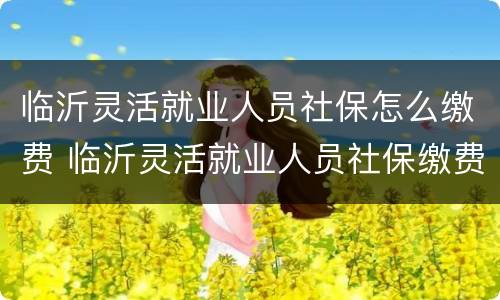 临沂灵活就业人员社保怎么缴费 临沂灵活就业人员社保缴费比例