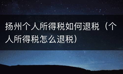 扬州个人所得税如何退税（个人所得税怎么退税）