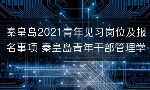 秦皇岛2021青年见习岗位及报名事项 秦皇岛青年干部管理学院