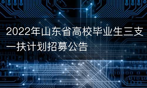 2022年山东省高校毕业生三支一扶计划招募公告