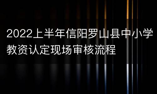 2022上半年信阳罗山县中小学教资认定现场审核流程