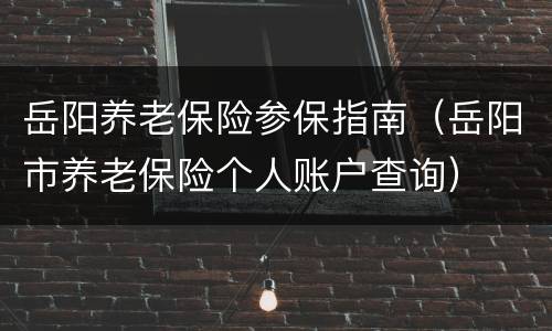 岳阳养老保险参保指南（岳阳市养老保险个人账户查询）