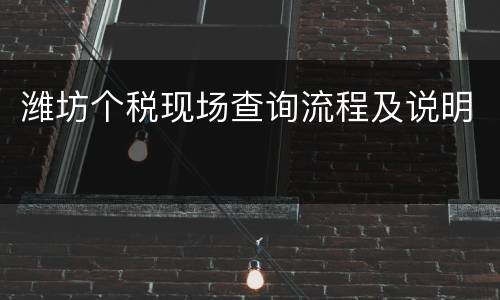 潍坊个税现场查询流程及说明