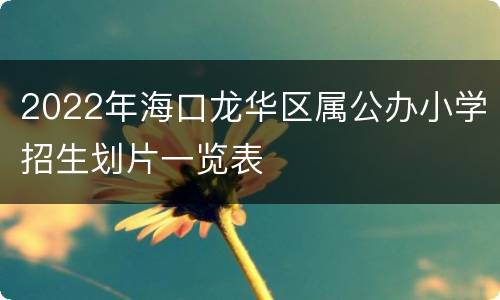 2022年海口龙华区属公办小学招生划片一览表