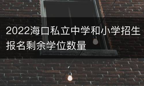 2022海口私立中学和小学招生报名剩余学位数量