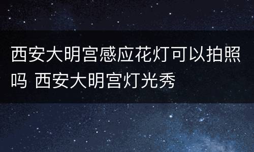 西安大明宫感应花灯可以拍照吗 西安大明宫灯光秀