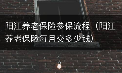 阳江养老保险参保流程（阳江养老保险每月交多少钱）