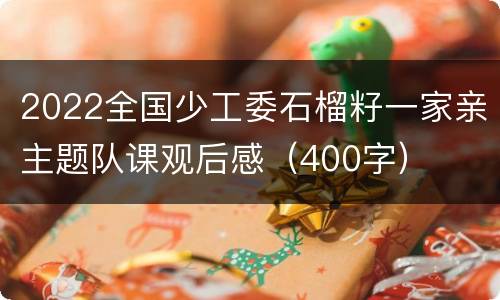 2022全国少工委石榴籽一家亲主题队课观后感（400字）