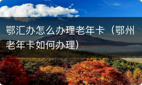 鄂汇办怎么办理老年卡（鄂州老年卡如何办理）