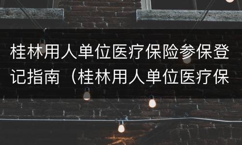 桂林用人单位医疗保险参保登记指南（桂林用人单位医疗保险参保登记指南查询）