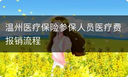 温州医疗保险参保人员医疗费报销流程