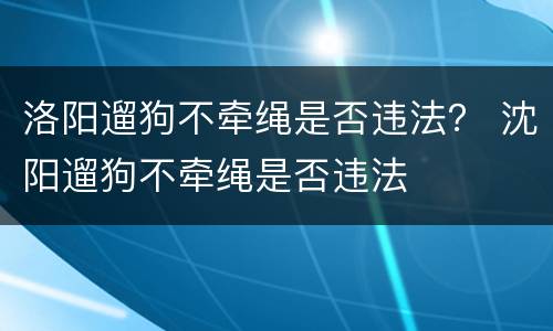 洛阳遛狗不牵绳是否违法？ 沈阳遛狗不牵绳是否违法