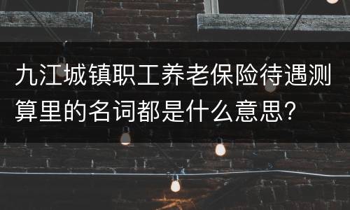九江城镇职工养老保险待遇测算里的名词都是什么意思?
