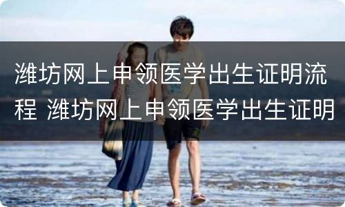 潍坊网上申领医学出生证明流程 潍坊网上申领医学出生证明流程视频