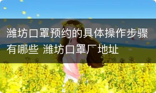 潍坊口罩预约的具体操作步骤有哪些 潍坊口罩厂地址