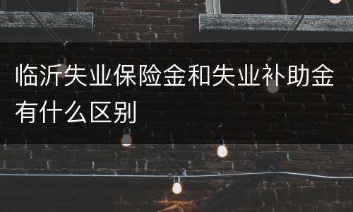 临沂失业保险金和失业补助金有什么区别
