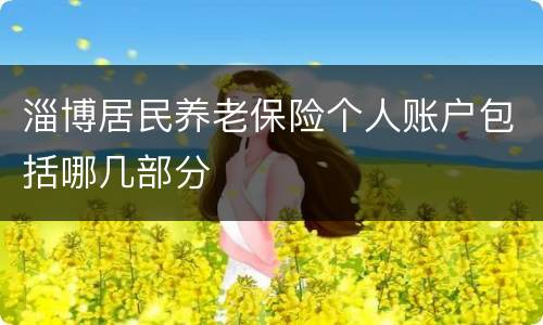 淄博居民养老保险个人账户包括哪几部分