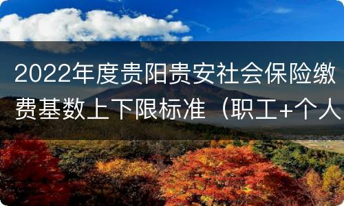 2022年度贵阳贵安社会保险缴费基数上下限标准（职工+个人）