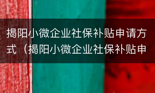 揭阳小微企业社保补贴申请方式（揭阳小微企业社保补贴申请方式是什么）