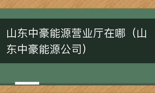 山东中豪能源营业厅在哪（山东中豪能源公司）