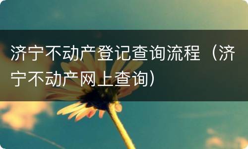 济宁不动产登记查询流程（济宁不动产网上查询）