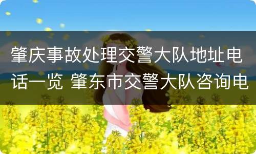 肇庆事故处理交警大队地址电话一览 肇东市交警大队咨询电话