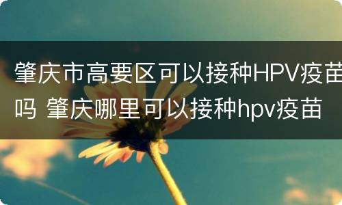 肇庆市高要区可以接种HPV疫苗吗 肇庆哪里可以接种hpv疫苗