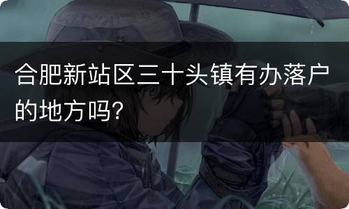 合肥新站区三十头镇有办落户的地方吗？