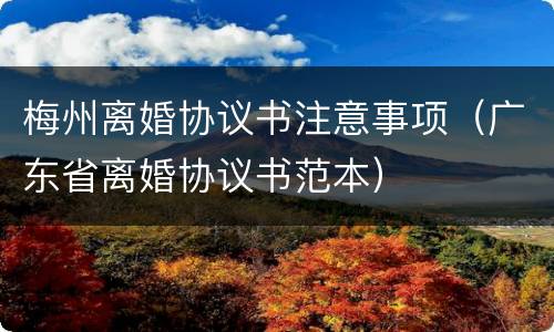 梅州离婚协议书注意事项（广东省离婚协议书范本）