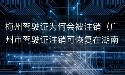 梅州驾驶证为何会被注销（广州市驾驶证注销可恢复在湖南可以处理吗）