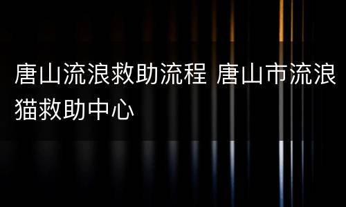 唐山流浪救助流程 唐山市流浪猫救助中心