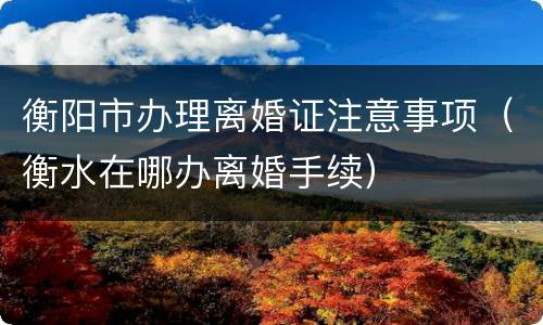 衡阳市办理离婚证注意事项（衡水在哪办离婚手续）