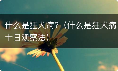 什么是狂犬病?（什么是狂犬病十日观察法）